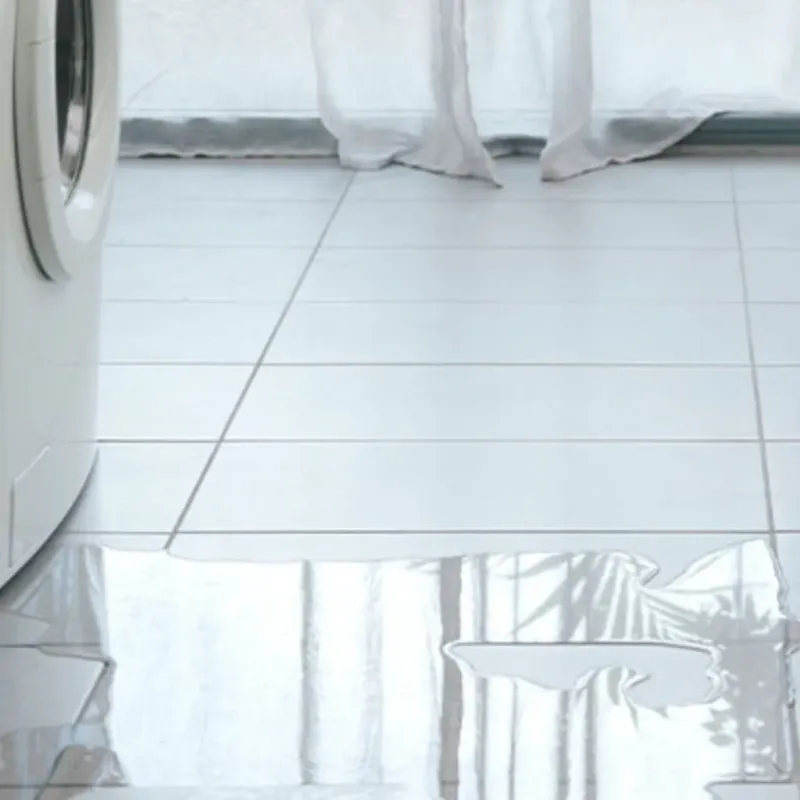 Appliance Leak Cleanup in Benton County, MN
