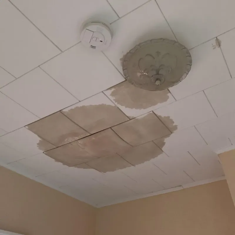 Ceiling Water Damage Repair in Benton County, MN