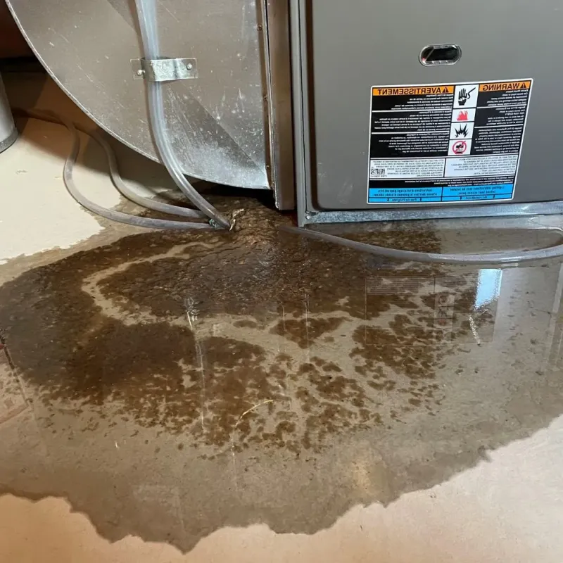 Pipe Burst and Leak Restoration in Benton County, MN