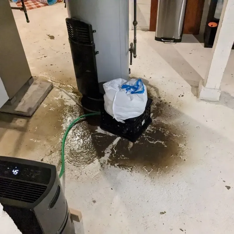 Sewage Backup Cleanup Service in Benton County, MN